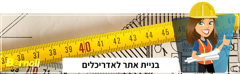 בניית אתר לאדריכלים